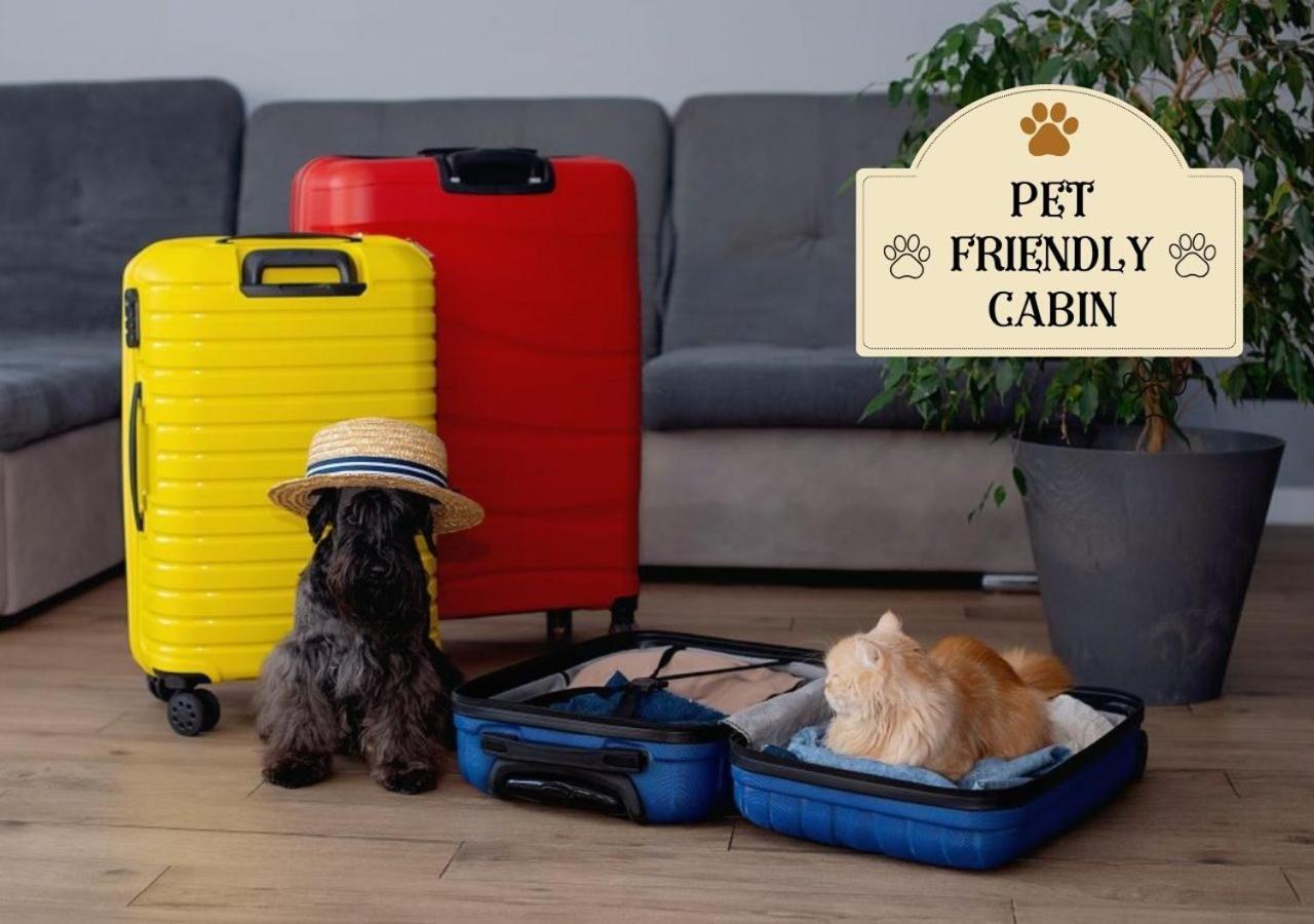 Fabulous Pet-Friendly, Family Cabin With Outdoor Kitchen, Hot Tub, Sauna, Fireplace, Theater Room, Arcade, Pool Table, And Fire Pit Within Minuties Of Dollywood Севьервилл Экстерьер фото